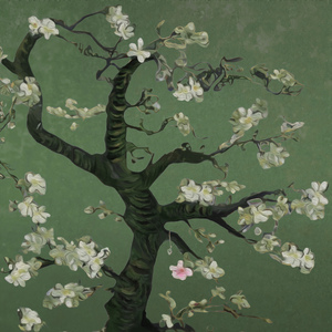 亚洲一级A片在线观看播放
