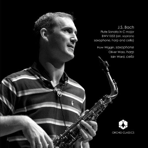 亚洲一级A片在线观看播放
